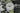 Fortis Flieger Ref 595.10.46, Full Set