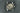 Fortis Stratoliner 20 6244
