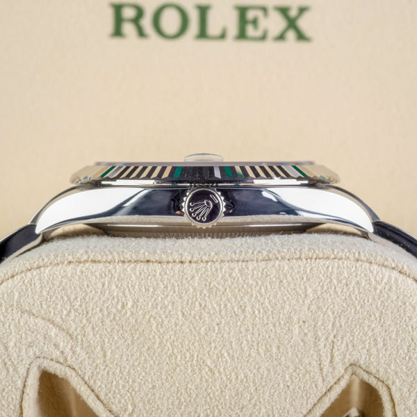 Rolex Datejust Roman Numeral White Dial N.I.B. & Un-sized 41mm Ref 126334