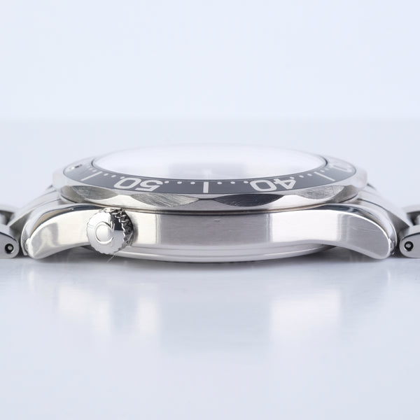 Omega Seamaster Professional 300M Ref 2254.50.00
